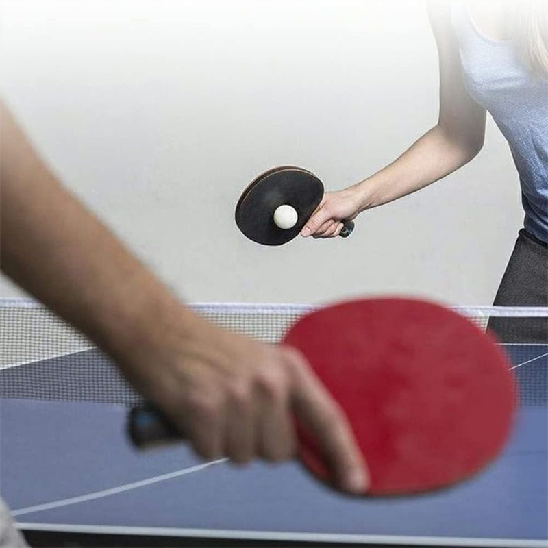Сетка для настольного тенниса  – обзор и цена Table Tennis Online