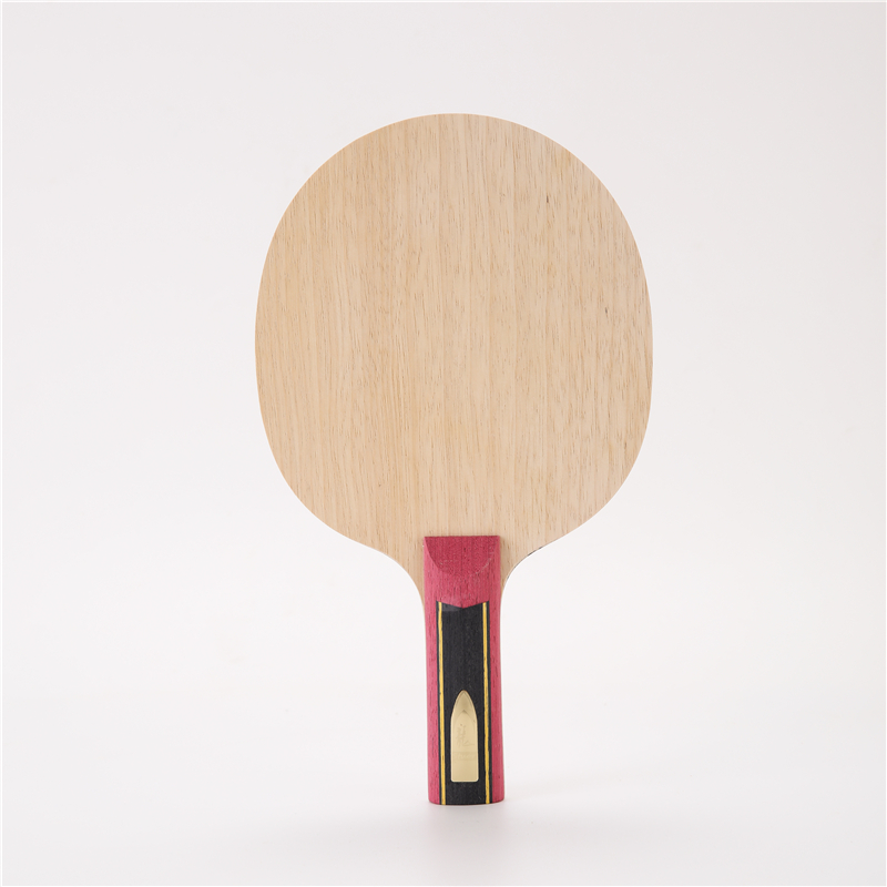 Ракетка для настольного теннис – обзор и цена Table Tennis Viscaria