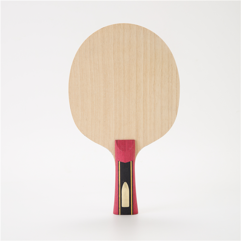 Ракетка для настольного теннис – обзор и цена Table Tennis Viscaria