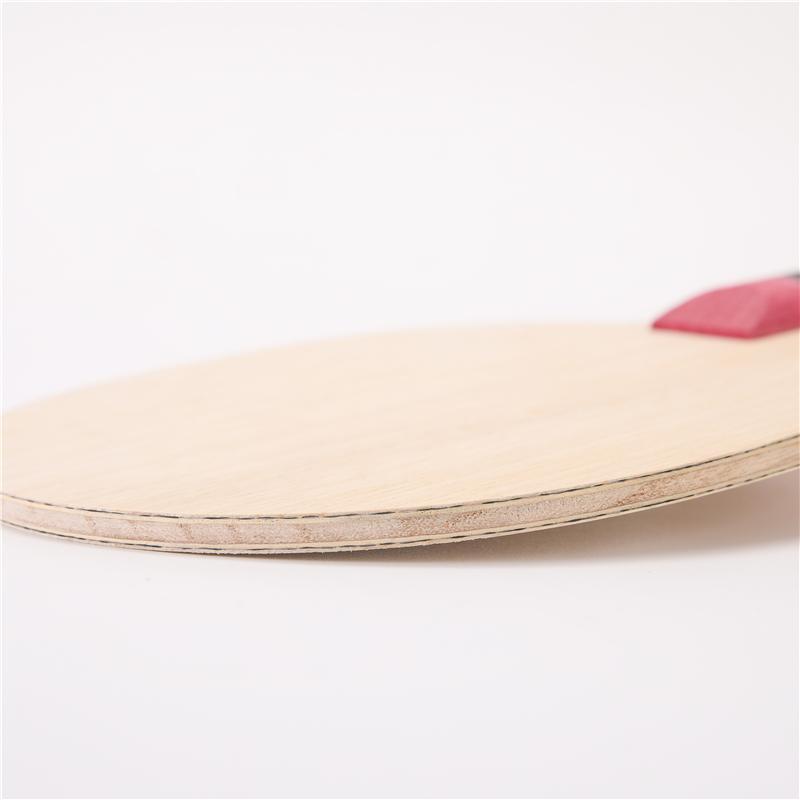 Ракетка для настольного теннис – обзор и цена Table Tennis Viscaria